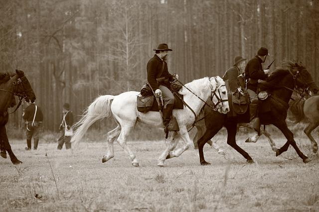 0L7U5885 Sepia example.JPG